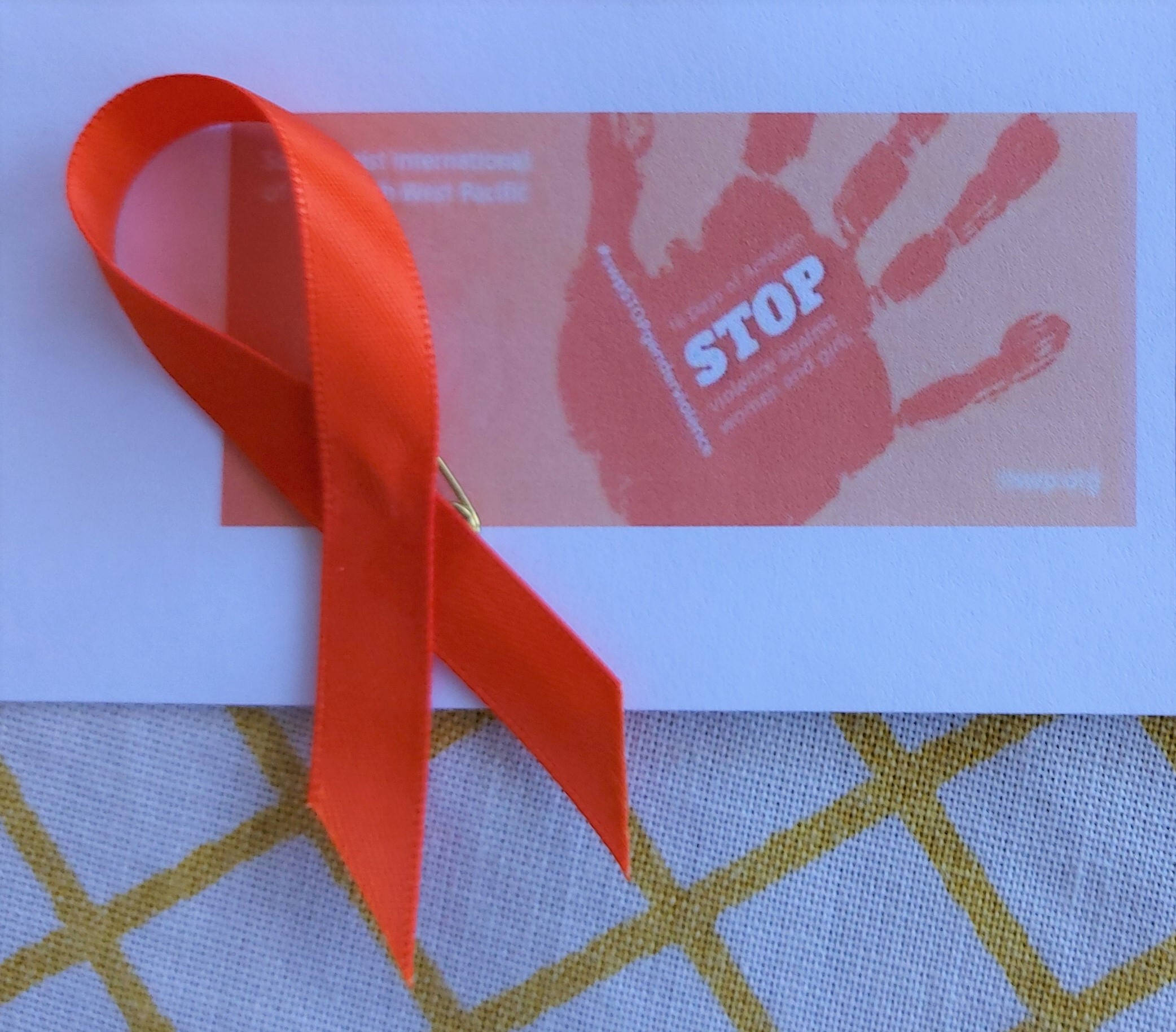 SI Sthn Dists Adelaide orange ribbon 16 days of activism