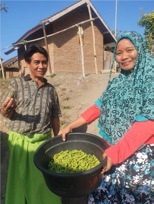 Lombok Rebuk Satu Organic Farming